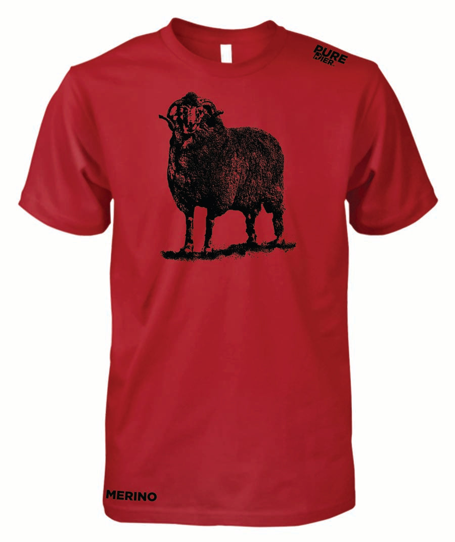 Merino Hemp vir Hom