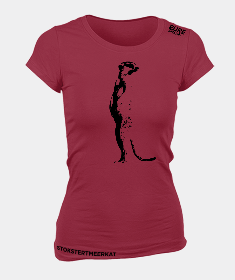 Stokstertmeerkat Hemp vir Haar